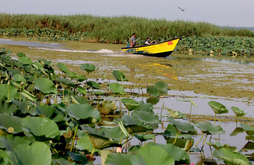 Anzali Lagoon, a Wonderful Journey into the Heart of Nature