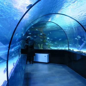 Isfahan Aquarium, Enjoyment of Observing Oceans in Historic City of Isfahan