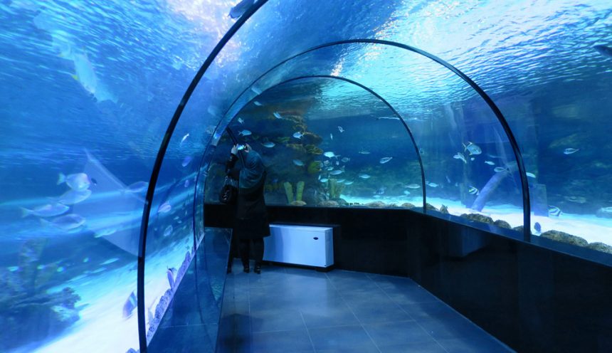 Isfahan Aquarium, Enjoyment of Observing Oceans in Historic City of Isfahan